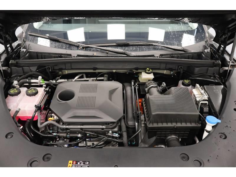 Mg Ehs 1.5 Hybrid+ 224 ch Luxury