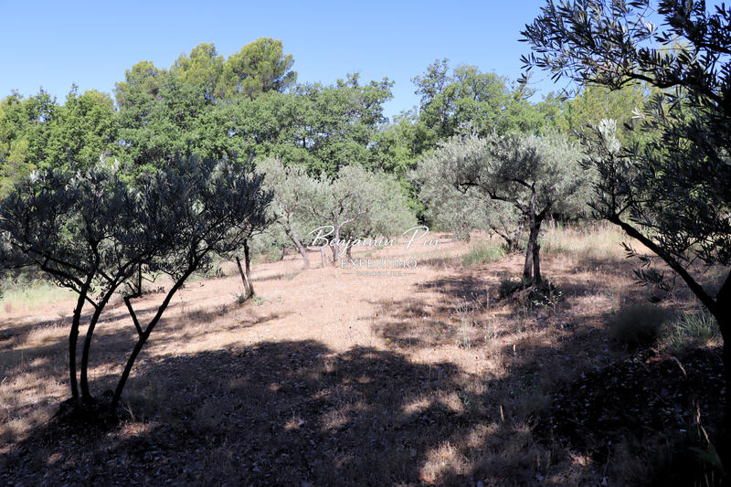 Maison - 113 m² - 3 pièces