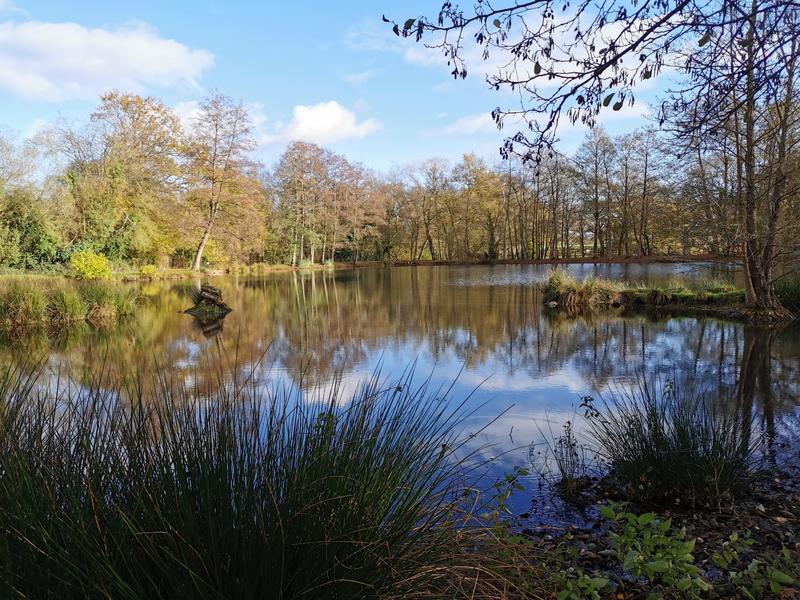 Terrain de loisirs - 10 300 m²