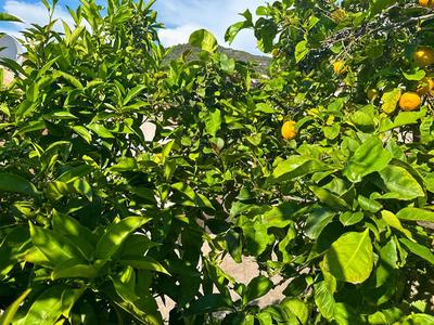 Maison - 120 m² - 3 pièces