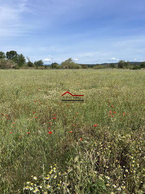 Terrain agricole - 6 900 m²