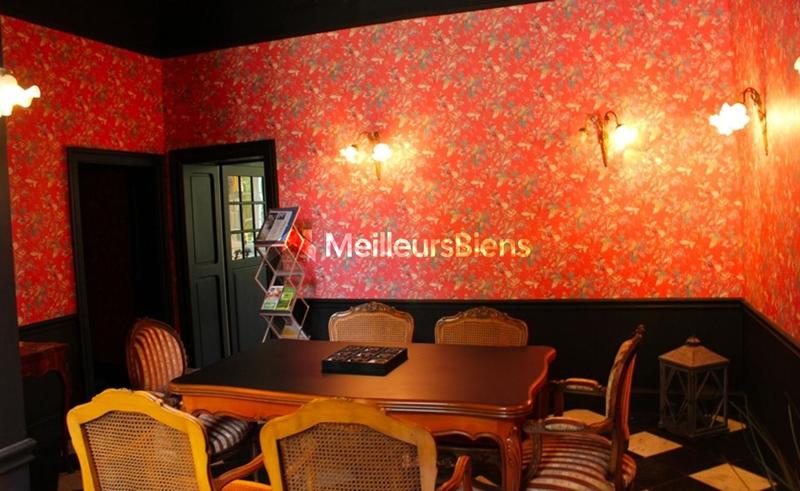 Château - 1 250 m² - 30 pièces