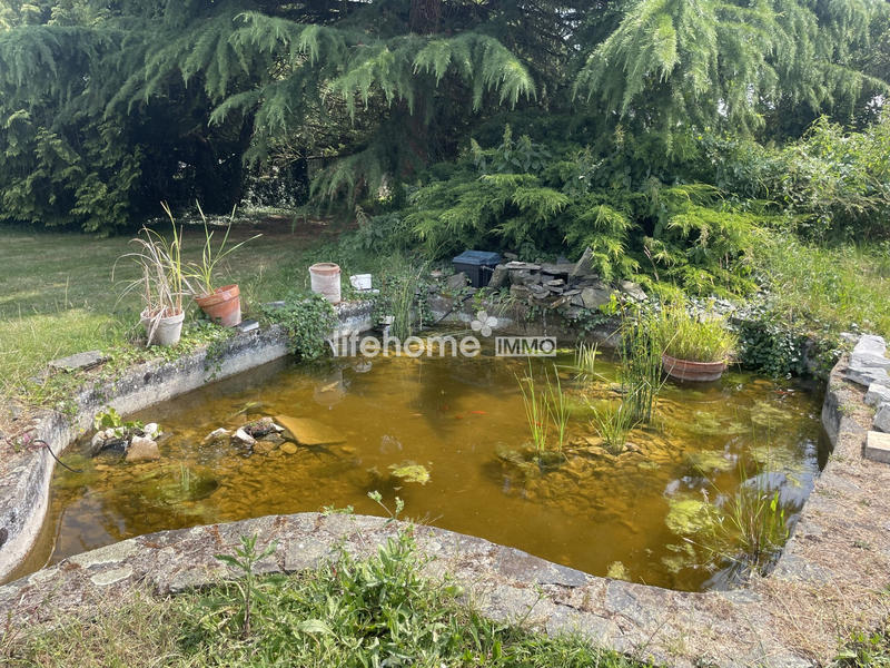 Local commercial - 550 m²