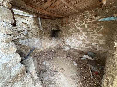 Terrain agricole - 10 160 m²