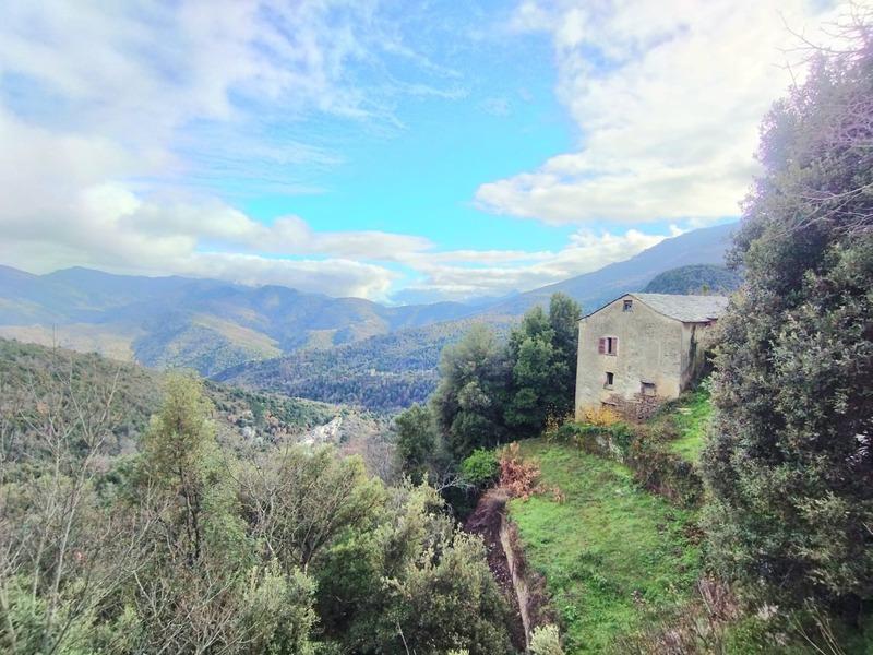 Maison en pierre - 120 m² - 7 pièces