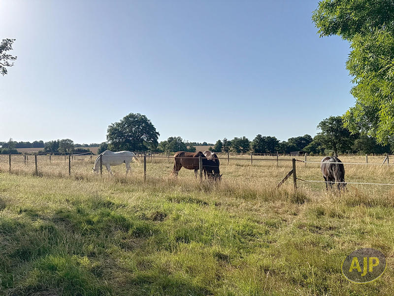 Maison - 139 m² - 5 pièces