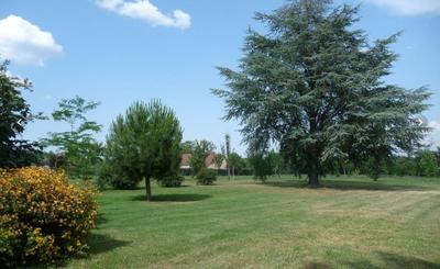 Terrain constructible - 1 500 m²