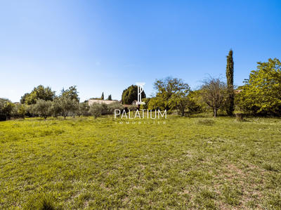 Terrain - 2 278 m²