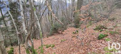 Terrain - 61 700 m²