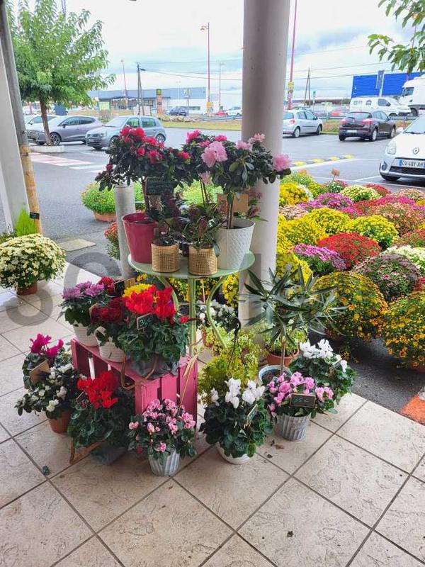 Fonds de commerce - Magasins - 50 m²