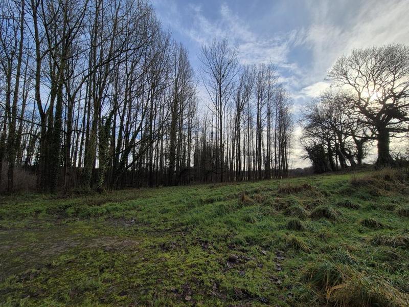 Corps de ferme - 87 m² - 4 pièces