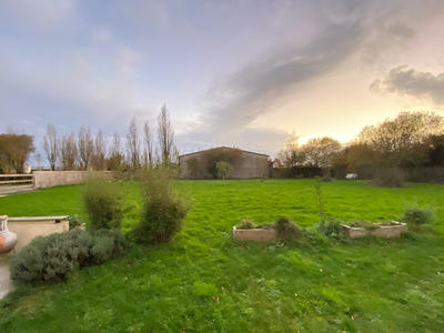 Immeuble - 2 256 m² - 5 pièces