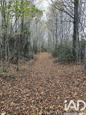 Terrain - 405 918 m²