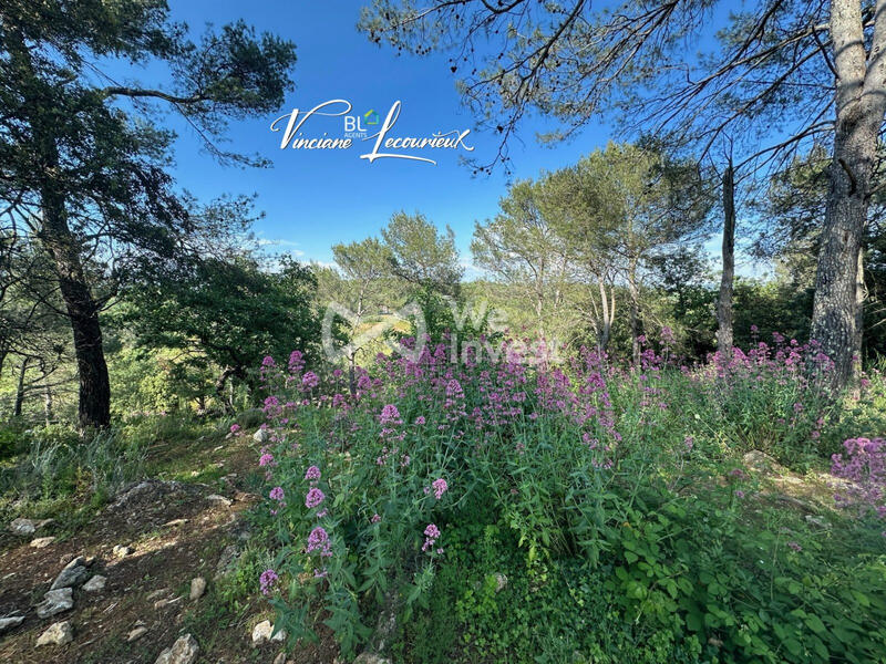 Maison traditionnelle - 185 m² - 8 pièces