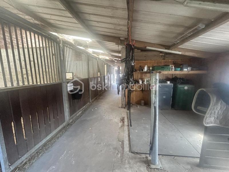 Maison de domaine équestre - 150 m² - 5 pièces