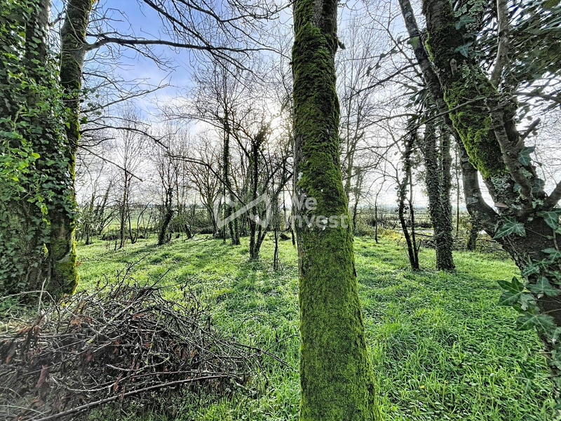 Maison - 64 m² - 3 pièces