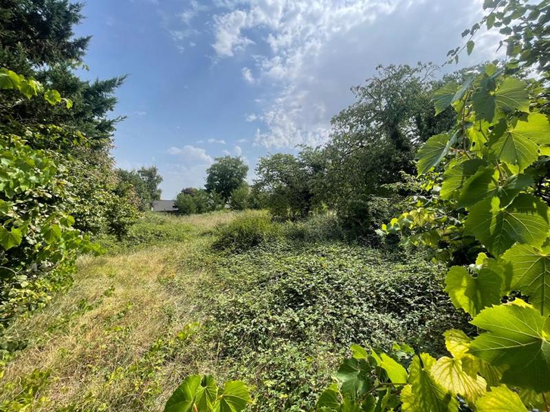 Terrain constructible - 1 638 m²