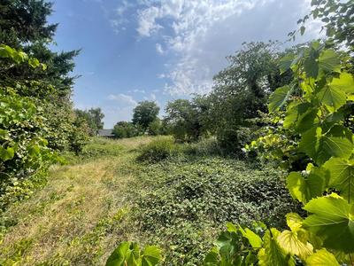 Terrain constructible - 1 638 m²