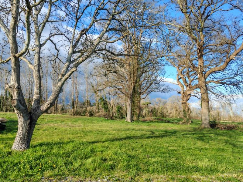 Grange - 130 m² - 1 pièce