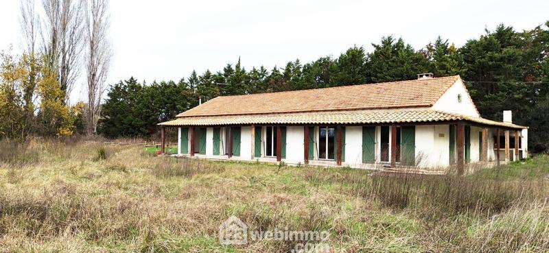 Maison - 136 m² - 4 pièces