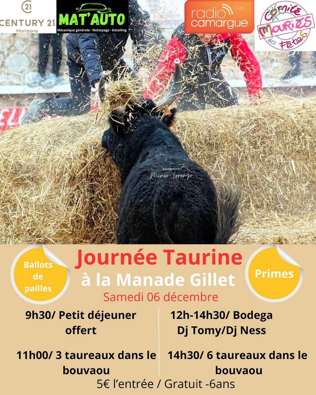 Journée taurine à la Manade Gillet