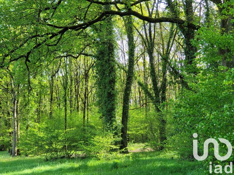 Terrain - 50 000 m²