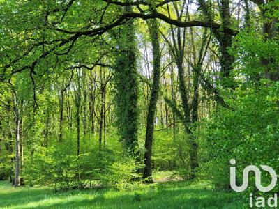 Terrain - 50 000 m²