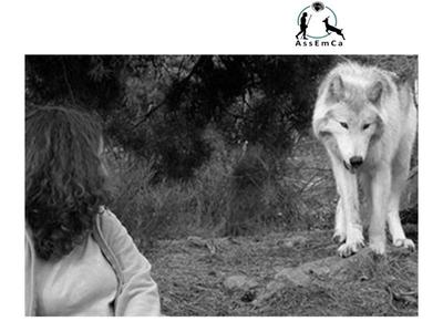 Exposition et ateliers sur les femmes préhistoriennes, carnivores préhistoriques