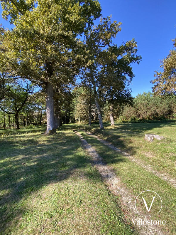 Maison - 246 m² - 6 pièces