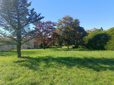 Terrain - 800 m²