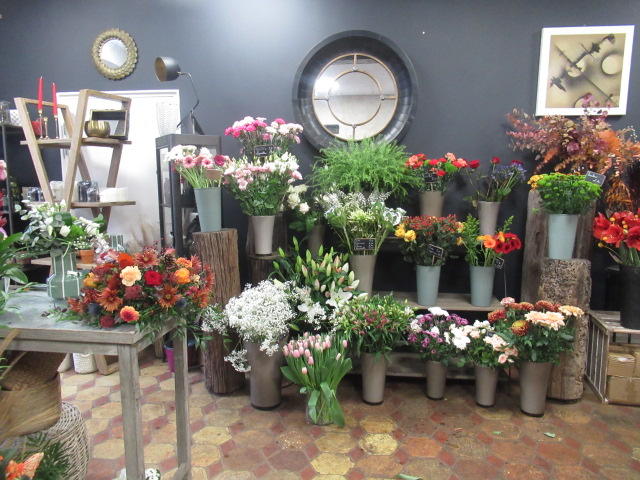 Appartement - 55 m² - 2 pièces