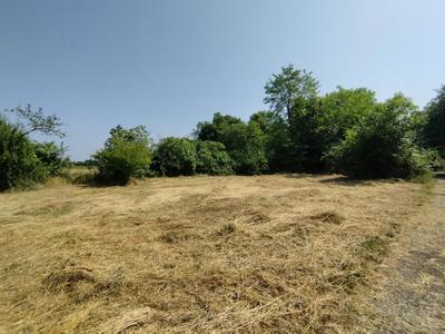 Terrain - 3 925 m²