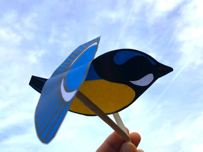 Ciné-atelier « ma marionnette mésange »