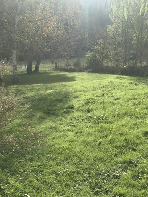 Terrain constructible - 1 197 m²