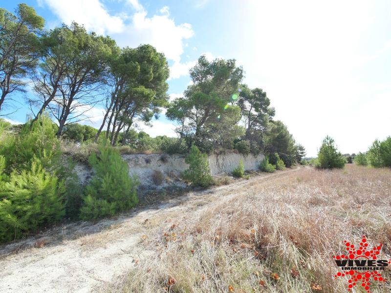 Terrain de loisirs - 23 990 m²