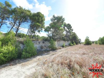 Terrain de loisirs - 23 990 m²