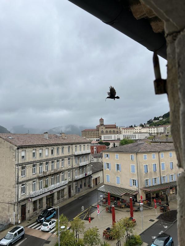 Appartement - 52 m² - 3 pièces