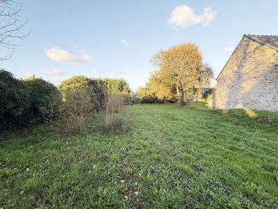 Terrain - 786 m²