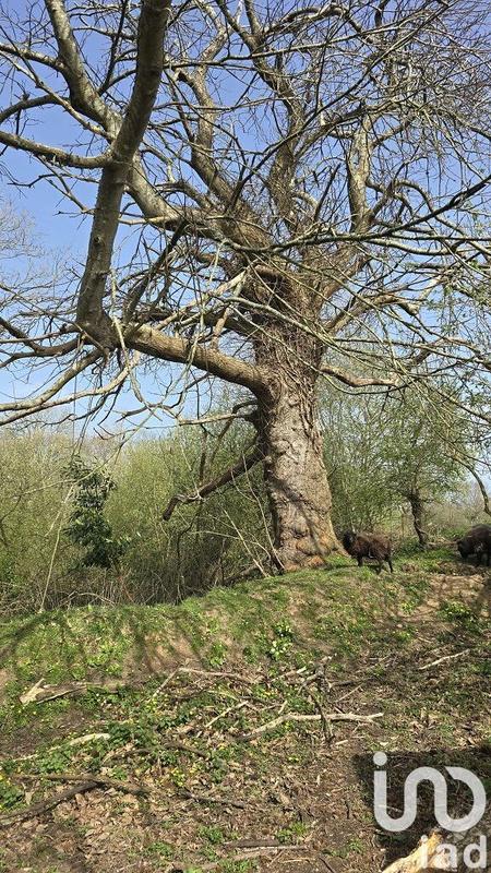 Maison - 121 m² - 7 pièces