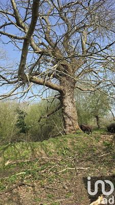 Maison - 121 m² - 7 pièces