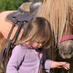 Les Ecuries de l' Etrier d'Or