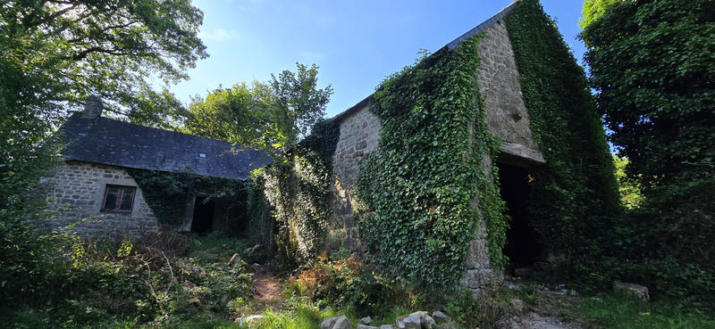 Maison - 70 m² - 2 pièces