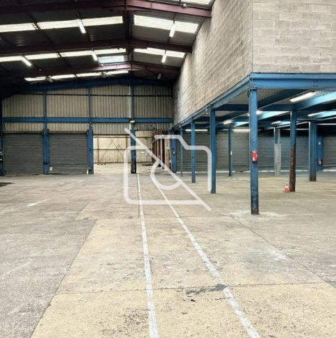 Entrepôt - 1 650 m²