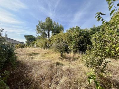 Terrain - 450 m²