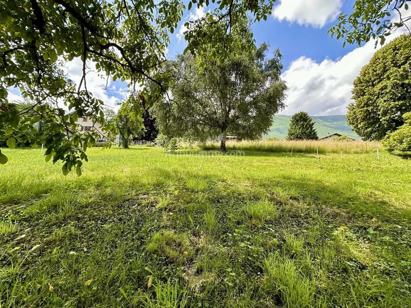 Terrain - 1 036 m²