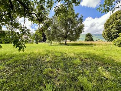 Terrain - 1 036 m²