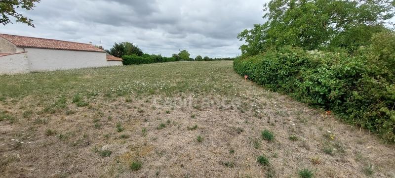 Terrain constructible - 1 700 m²