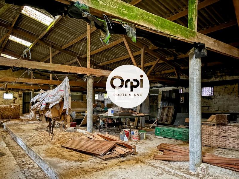 Terrain agricole - 10 917 m²