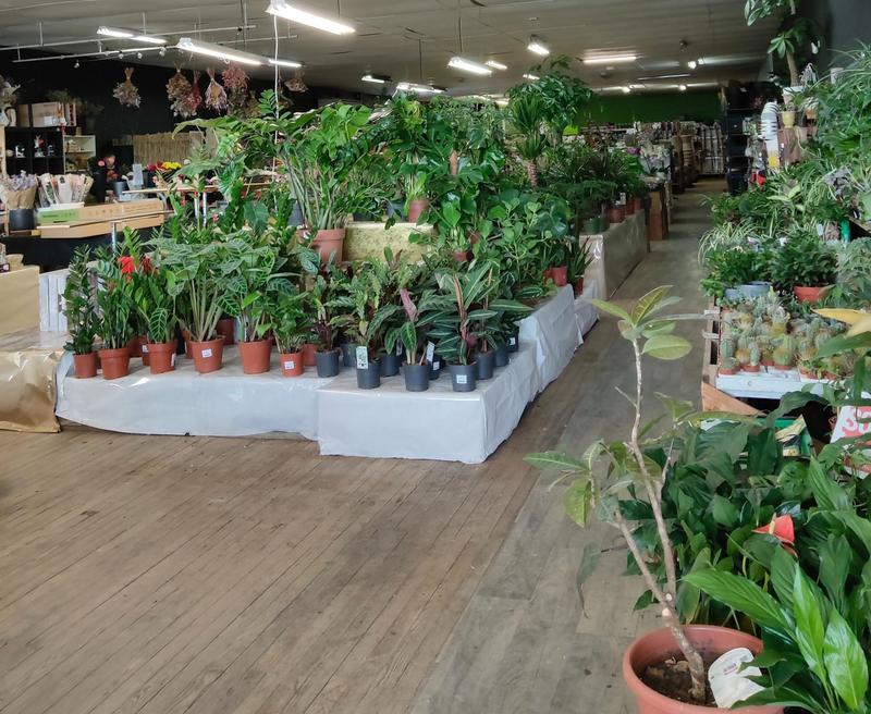 Local commercial - 600 m²