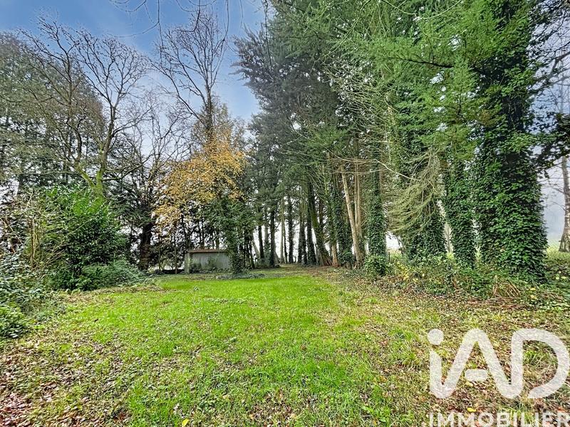 Terrain - 11 312 m²